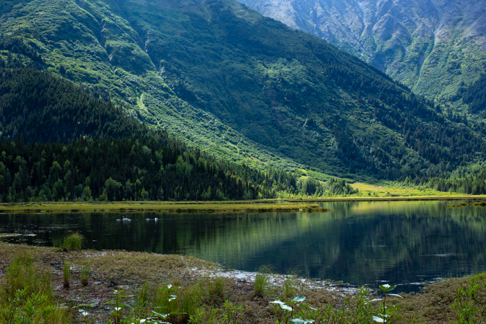 A Travel documentary photo taken in Alaska by Paola H Sanchez